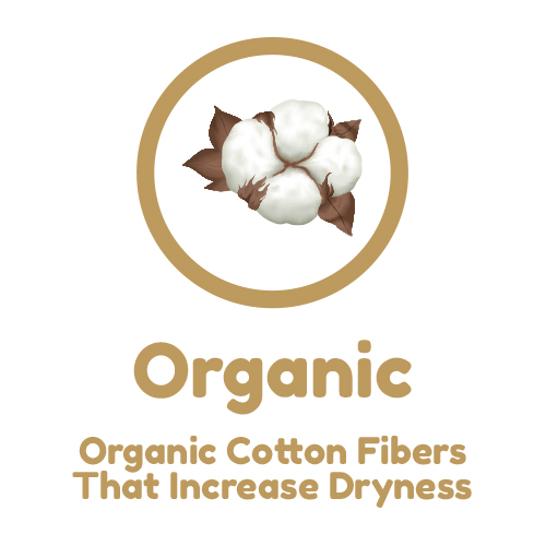 Organic Cotton
